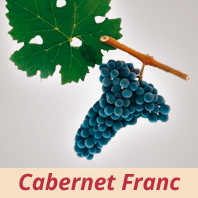 Cabernet Franc