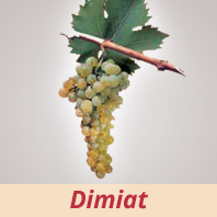 Dimiat