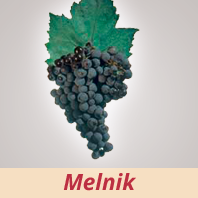 Melnik