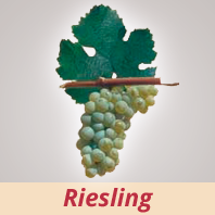 Riesling