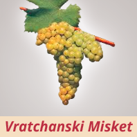 Vratchanski Misket