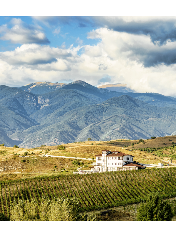 Rotwein Trakiatal Melnik, Shiroka MELNIK Harsovo, TRADITION\